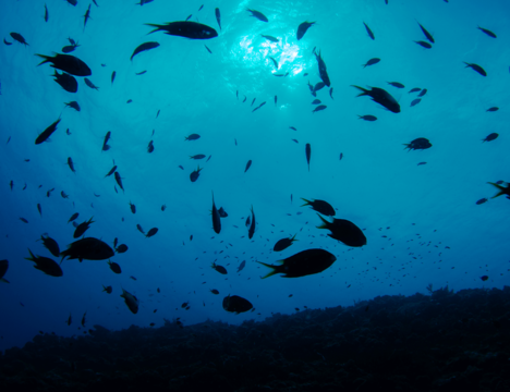                                                       Longing掲載の海の写真                                                      